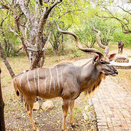 Adventure Bush House Villa Marloth Park Ngoại thất bức ảnh