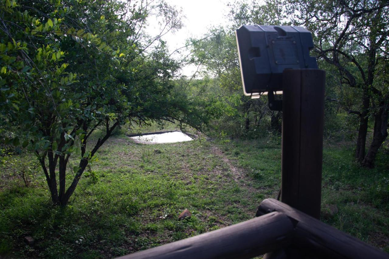 Adventure Bush House Villa Marloth Park Ngoại thất bức ảnh