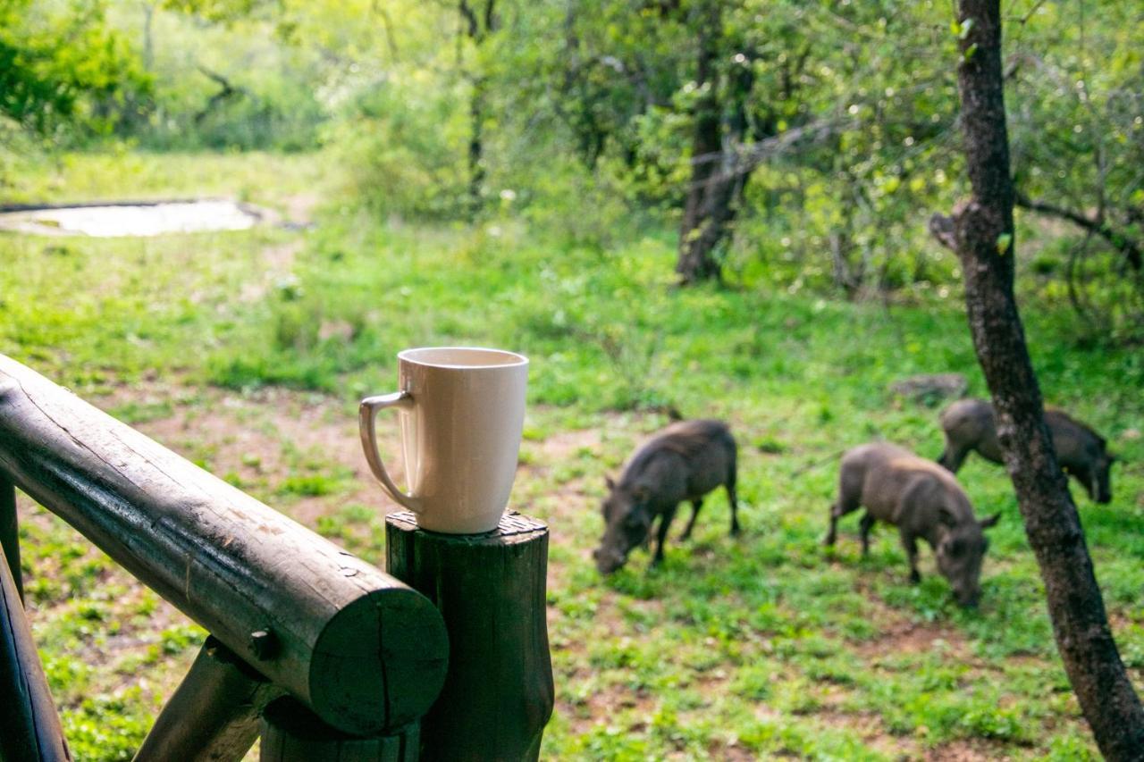 Adventure Bush House Villa Marloth Park Ngoại thất bức ảnh