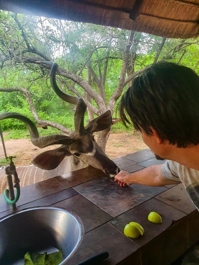 Adventure Bush House Villa Marloth Park Ngoại thất bức ảnh