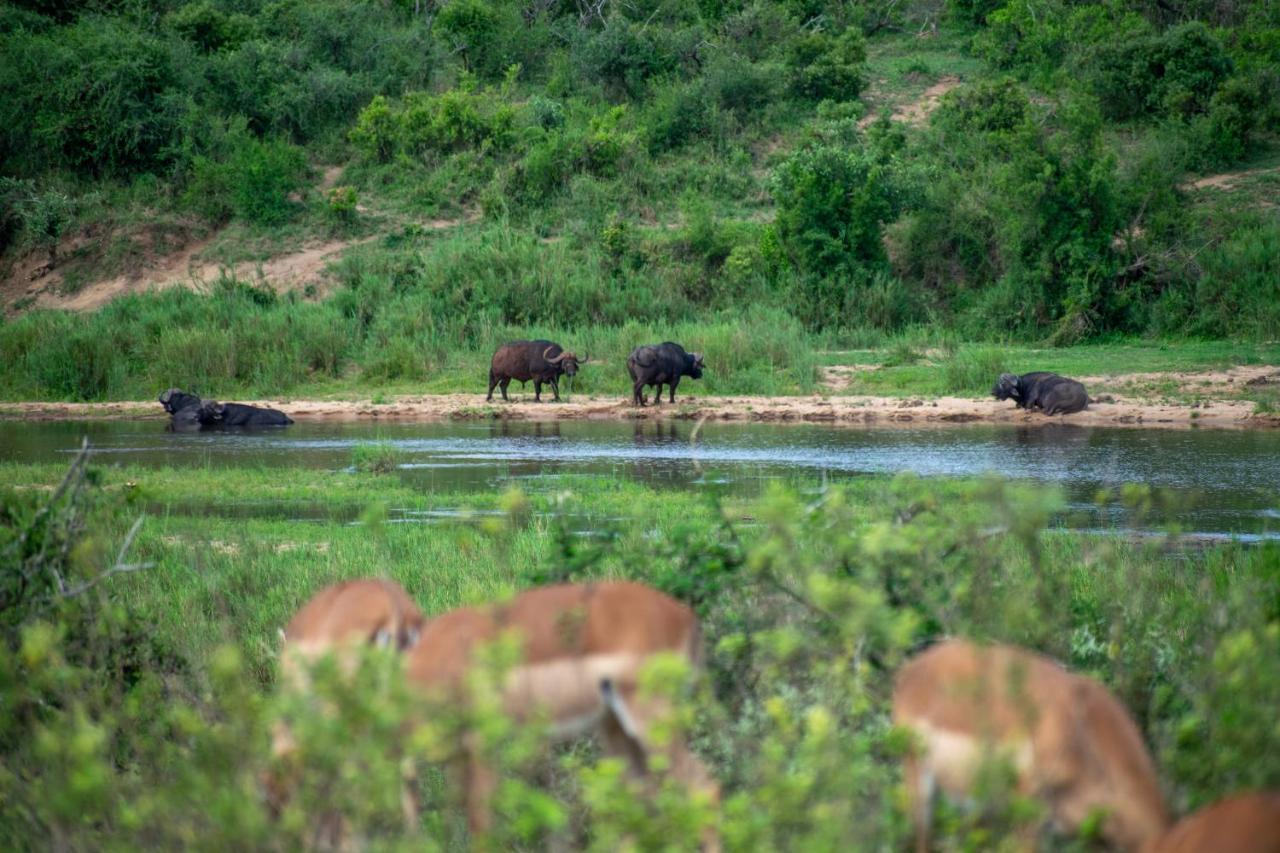 Adventure Bush House Villa Marloth Park Ngoại thất bức ảnh